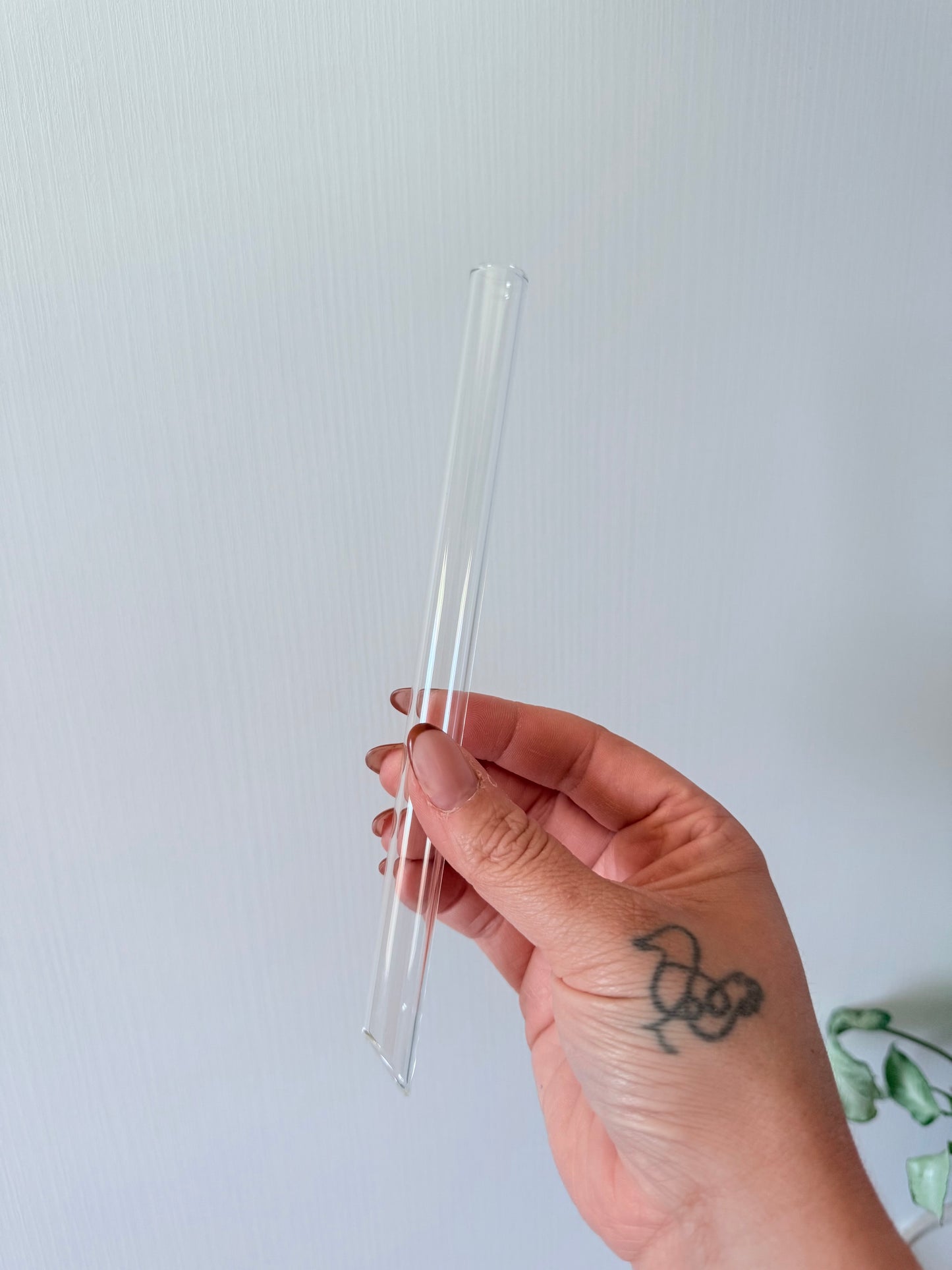 Boba Glass Straw