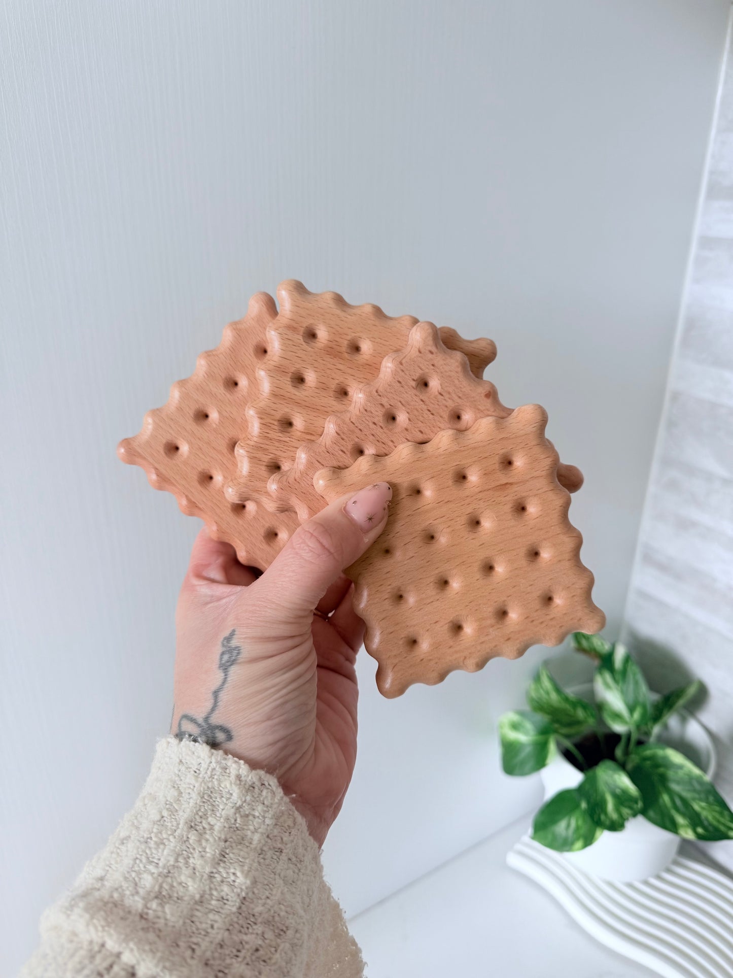 Biscuit Coaster